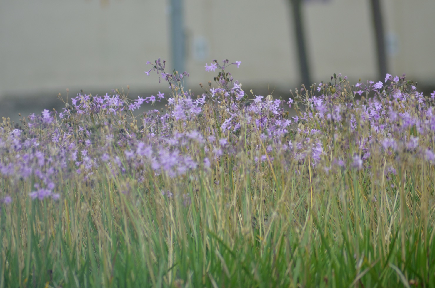 No s'ha trobat l'arxiu